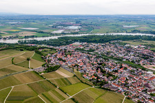 Luftbild von Ortschaft mit Katharinenkirche und Burg Landskron an den Fluss- Uferbereichen des Rhein in Oppenheim im Bundesland Rheinland-Pfalz, Deutschland