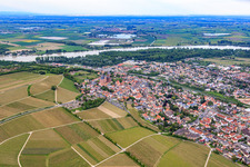 Luftaufnahme von Stadtansicht zwischen Weinbergen und Rhein in Oppenheim im Bundesland Rheinland-Pfalz, Deutschland