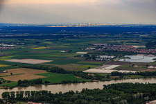Skyline Frankfurt am Main vom Rhein bei Oppenheim aus im Ortsteil Niederrad im Bundesland Hessen, Deutschland