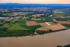 Lampertheimer Altrhein und NATO-Rampe Lampertheim am Rhein im Bundesland Hessen, Deutschland