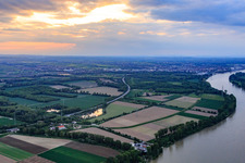 Mündung der Isenach in den Rhein und Oberer Busch im Ortsteil Bobenheim in Bobenheim-Roxheim im Bundesland Rheinland-Pfalz, Deutschland