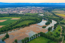 Rallengraben Lampertheimer Altrhein im Bundesland Hessen, Deutschland