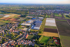 Ortsansicht aus Südosten mit Industriegebiet Industriestraße und FRIGO-TRANS GmbH in Fußgönheim im Bundesland Rheinland-Pfalz, Deutschland