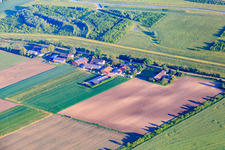 Rheindamm (d. Hohe Weg zum Rhein) mit Karins Frische Kiste im Ortsteil Sandhofen in Mannheim im Bundesland Baden-Württemberg, Deutschland