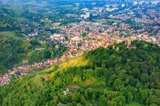 Weinreben unterhalb der Burgruine Starkenburg in Heppenheim im Bundesland Hessen, Deutschland