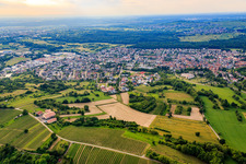 Haus Edelberg Senioren-Zentrum Östringen im Bundesland Baden-Württemberg, Deutschland