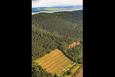 Weinberge und Buntsandsteinbrüche bei Bürgstadt über dem Main im Bundesland Bayern, Deutschland