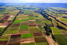 Luftbild von Felder an Modenbach, Hirschgraben und Brühlgraben in Freimersheim im Bundesland Rheinland-Pfalz, Deutschland