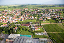 Luftbild von Ortsansicht der Straßen und Häuser der Wohngebiete im Ortsteil Eckel in Edesheim im Bundesland Rheinland-Pfalz, Deutschland