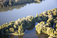 Isarauwald im Ortsteil Oberhöcking in Landau an der Isar im Bundesland Bayern, Deutschland