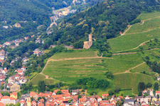 Burgruine Strahlenburg zwischen Weinbergen in Schriesheim im Bundesland Baden-Württemberg, Deutschland