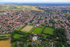 Luftaufnahme von Sportplätze des TSG Eintracht Plankstadt im Bundesland Baden-Württemberg, Deutschland