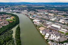 Rheinauhafen in Mannheim im Bundesland Baden-Württemberg, Deutschland von oben gesehen