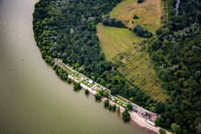 Schrägluftbild von Rheinstrandbad im Ortsteil Niederfeld in Mannheim im Bundesland Baden-Württemberg, Deutschland
