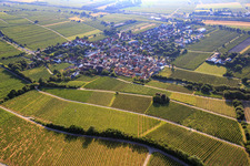 Winzerdorf zwischen Weinbergen in Ludwigshöhe im Bundesland Rheinland-Pfalz, Deutschland