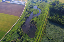 Biotop Zehntbach in Bickenbach im Bundesland Hessen, Deutschland