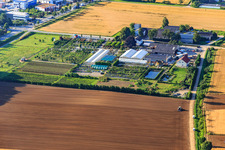 Schrägluftbild von Lindenhof Blumen im Ortsteil Auerbach in Bensheim im Bundesland Hessen, Deutschland