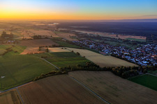 Felder der Südpfalz bis zum Bienwald am Morgen im Ortsteil Kleinsteinfeld in Steinfeld im Bundesland Rheinland-Pfalz, Deutschland