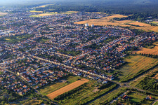 Stadtansicht aus Nordwesten in Haßloch im Bundesland Rheinland-Pfalz, Deutschland