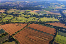 Luftaufnahme von Gelände des Golfplatzes Golfpark Kurpfalz in Schifferstadt im Bundesland Rheinland-Pfalz, Deutschland