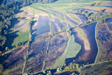 Insel Flotzgrün im Ortsteil Berghausen in Römerberg im Bundesland Rheinland-Pfalz, Deutschland