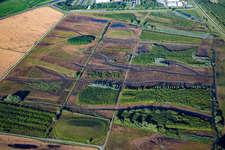 Biotope auf der Rheinschanzinsel in Philippsburg im Bundesland Baden-Württemberg, Deutschland