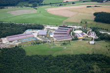 Gebäude des Reitstall - Reiterhof - Marstall Der Pferdestall - Saloon Hobstätterhof in Einöllen im Bundesland Rheinland-Pfalz, Deutschland
