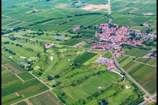 Dackenheim, Golfplatz im Bundesland Rheinland-Pfalz, Deutschland von der Drohne aus gesehen