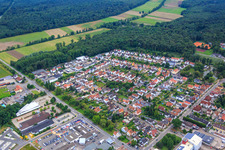 Luftbild von Siedlung Gartenstadt von Nordosten in Kandel im Bundesland Rheinland-Pfalz, Deutschland