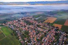 Dorfansicht mit Morgennebel aus Südosten in Minfeld im Bundesland Rheinland-Pfalz, Deutschland