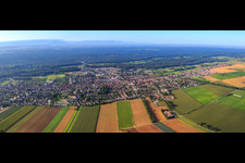 Stadtpanorama aus Norden in Kandel im Bundesland Rheinland-Pfalz, Deutschland