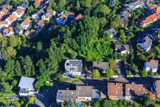 Rehbuckel im Ortsteil Hohenwettersbach in Karlsruhe im Bundesland Baden-Württemberg, Deutschland
