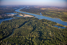 LSG Rheinknie Alter Kopfgrund im Ortsteil Grauelsbaum in Lichtenau im Bundesland Baden-Württemberg, Deutschland