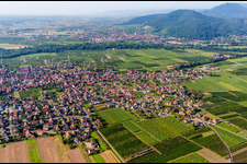 Luftbild von Ortsansicht der Straßen und Häuser der Wohngebiete in Scherwiller in Grand Est im Bundesland Bas-Rhin, Frankreich