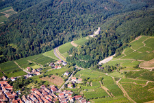 Burganlage des Schloß Château de Kintzheim in Kintzheim in Grand Est im Bundesland Bas-Rhin, Frankreich