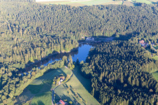 Luftbild von Bewaldete Uferbereiche am Seegebiet des Ebnisee im Ortsteil Ebni in Kaisersbach im Bundesland Baden-Württemberg, Deutschland