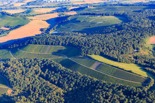 Weinberge und Wald im Ortsteil Schmidhausen in Beilstein im Bundesland Baden-Württemberg, Deutschland