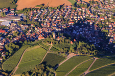 Burgfalknerei im Schloss Hohenbeilstein in Beilstein im Bundesland Baden-Württemberg, Deutschland