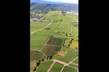 Luftaufnahme von Weinberge in Bönnigheim im Bundesland Baden-Württemberg, Deutschland