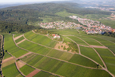 Luftbild von Ortsteil Treffentrill in Cleebronn im Bundesland Baden-Württemberg, Deutschland