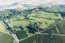 Golf im Ortsteil Treffentrill in Cleebronn im Bundesland Baden-Württemberg, Deutschland