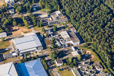 Drohnenbild von Ortsteil Leopoldshafen in Eggenstein-Leopoldshafen im Bundesland Baden-Württemberg, Deutschland