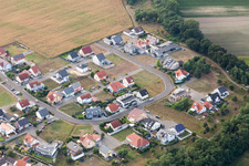 Neupotz, Hardtwald im Bundesland Rheinland-Pfalz, Deutschland