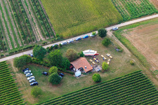 Feschdle an der Grillhütte Impflingen im Bundesland Rheinland-Pfalz, Deutschland