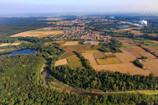 Luftbild von Michelsbach fliest aus einem See im Wald der Rheinauen am Brandgraben im Ortsteil Sondernheim in Germersheim im Bundesland Rheinland-Pfalz, Deutschland