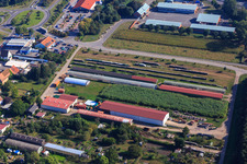 Landwirtschaftliche Hallen am Ettenbaum in Kandel im Bundesland Rheinland-Pfalz, Deutschland von einer Drohne aus