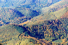 Wasigenstein in Niedersteinbach im Bundesland Bas-Rhin, Frankreich