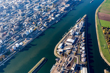 Uferbereiche entlang der Fluß- Mündung des Neckar in den Rhein gegenüber der BASF im Ortsteil Mühlauhafen in Mannheim im Ortsteil Innenstadt im Bundesland Baden-Württemberg, Deutschland