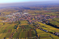 Stadtansicht am Abend im Herbst aus Westen in Edenkoben im Bundesland Rheinland-Pfalz, Deutschland
