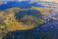 Luftbild von Herbstlicht bunte Reben der Weinberge der Lage Kastanienbusch in Birkweiler im Bundesland Rheinland-Pfalz, Deutschland